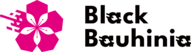 black_bauhinia_logo