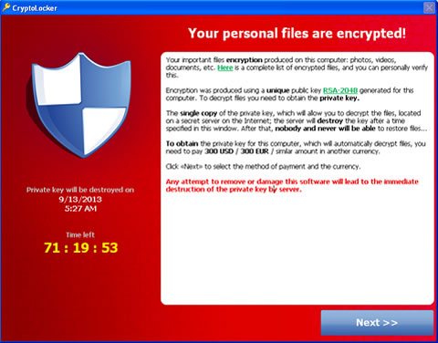 Fig 3) Screen of malware