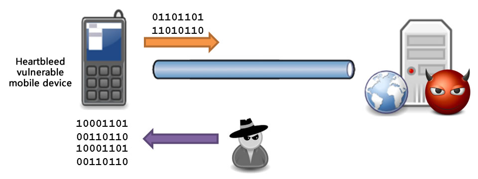 Fig 2) The attacker can conduct a reverse attack to steal information from the mobile device, when a Heartbleed mobile device connects to a malicious website created by the attacker. Fig 2) The attacker can conduct a reverse attack to steal information from the mobile device, when a Heartbleed mobile device connects to a malicious website created by the attacker.